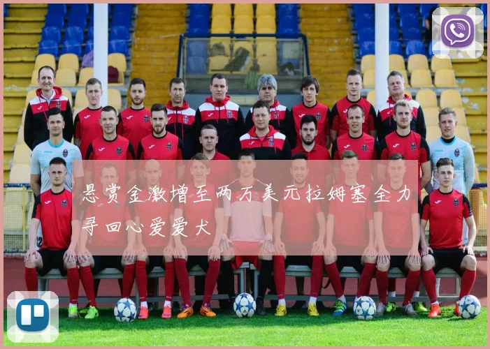 悬赏金激增至两万美元拉姆塞全力寻回心爱爱犬