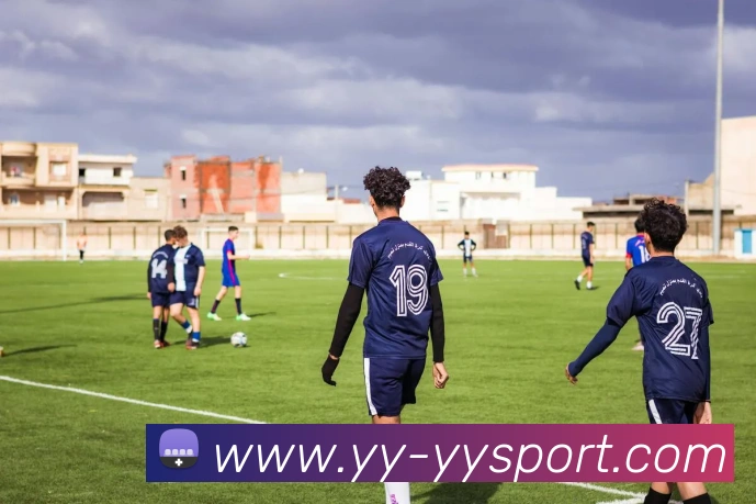 易游体育平台生态图