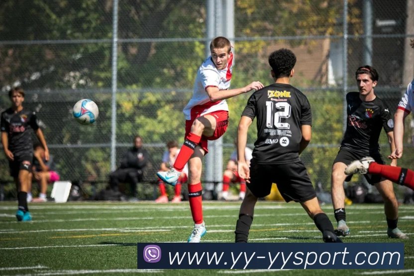 易游体育APP 封面图